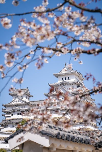 himeji-m-1.jpg